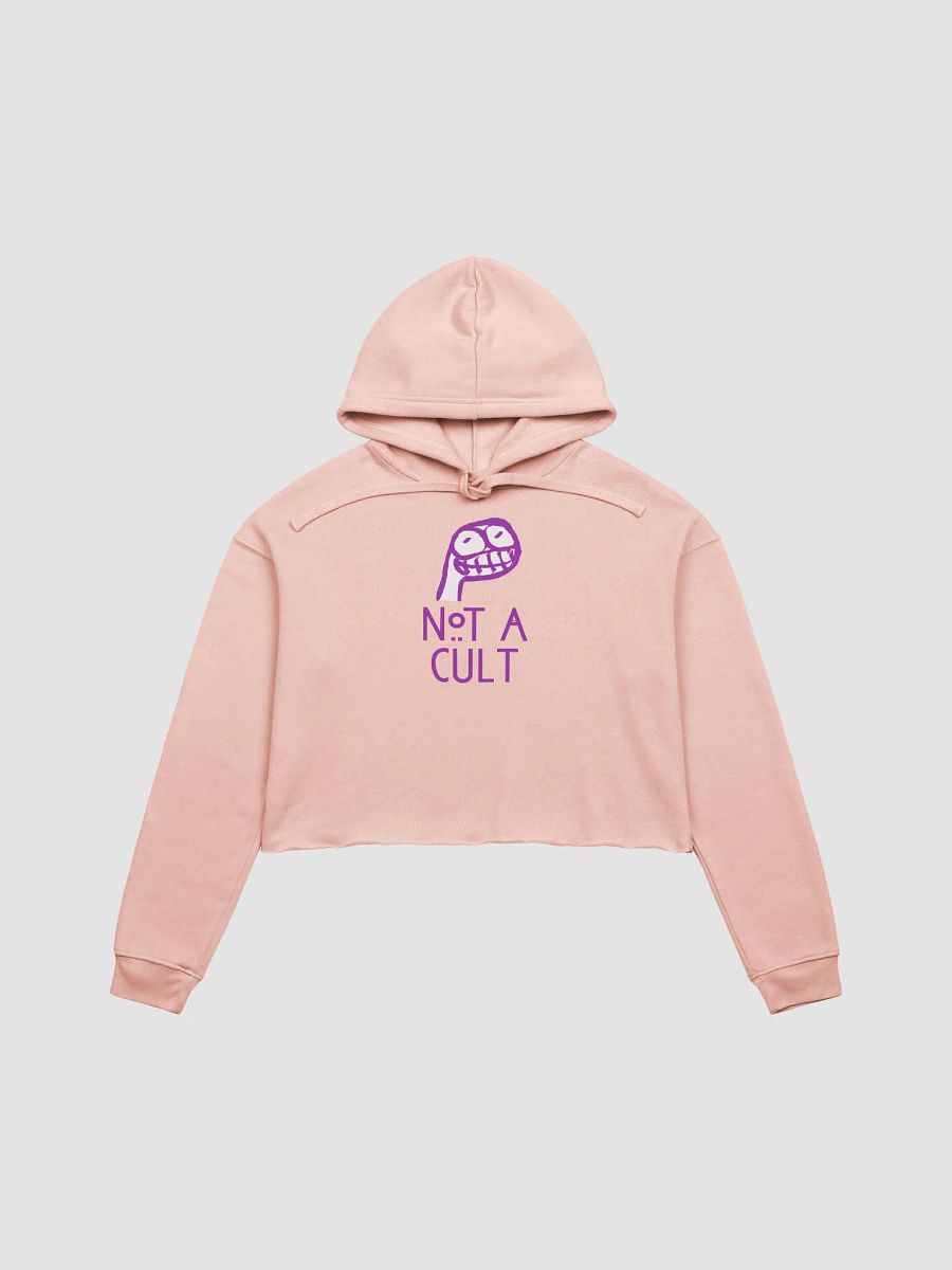 Not a Cult Crop Hoodie product image (2)
