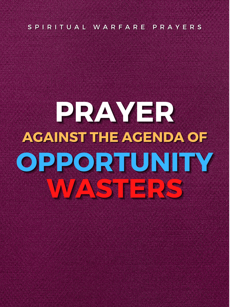 Prayer Against Opportunity Wasters product image (1)