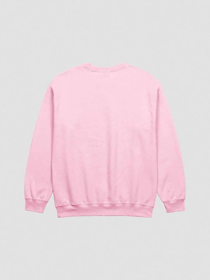 what the hyuck embroidered crewneck (multicolored) product image (2)