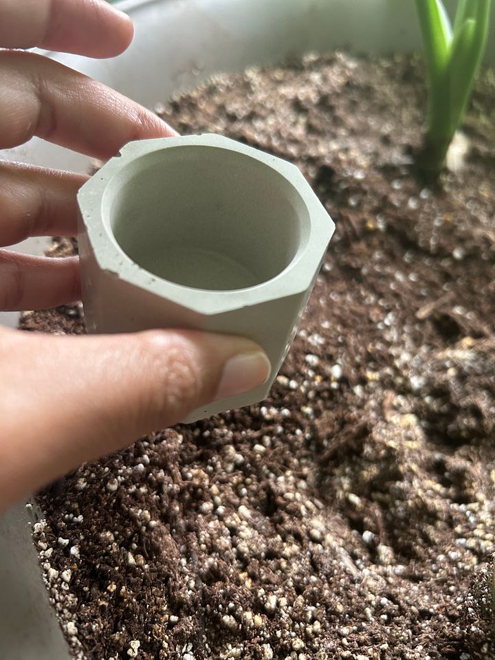 Blank cement and terracotta plant pots and trays product image (2)
