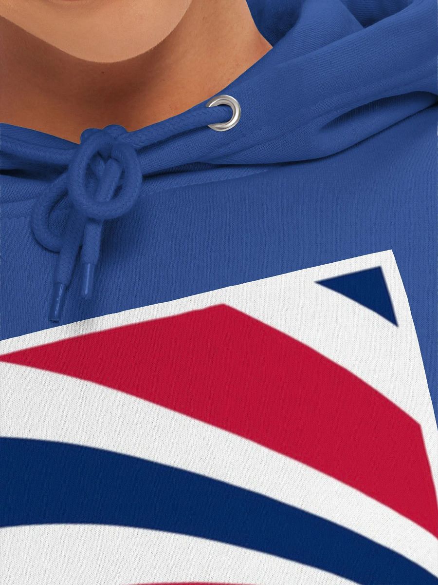 Lets Make America Great Again 2024 Premium Hoodie product image (15)