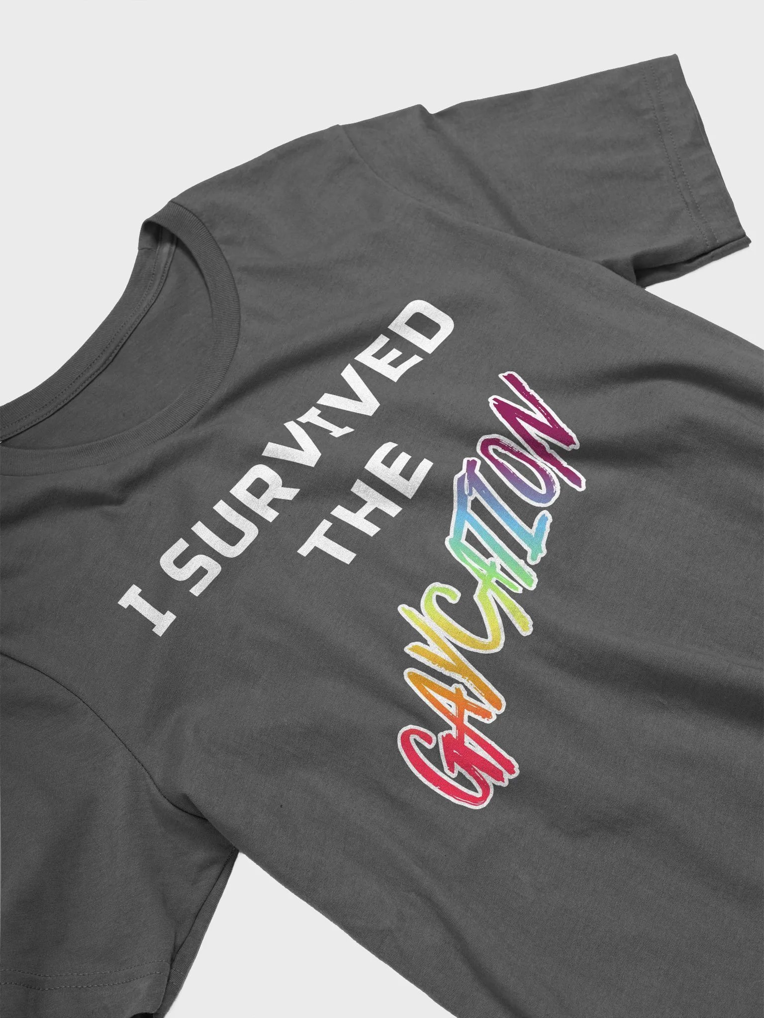 Gaycation Survival T-Shirt product image (25)