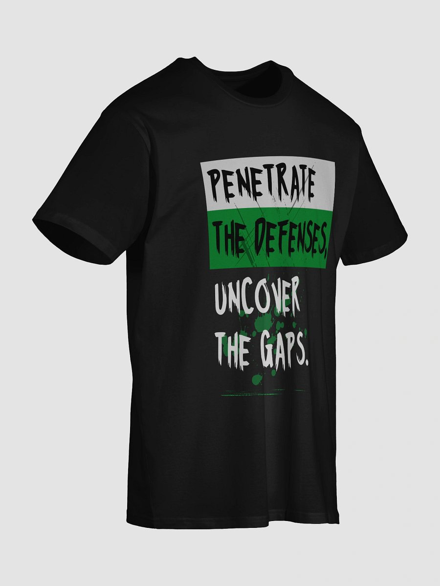 Penetrate the Defenses, uncover the gaps. product image (4)