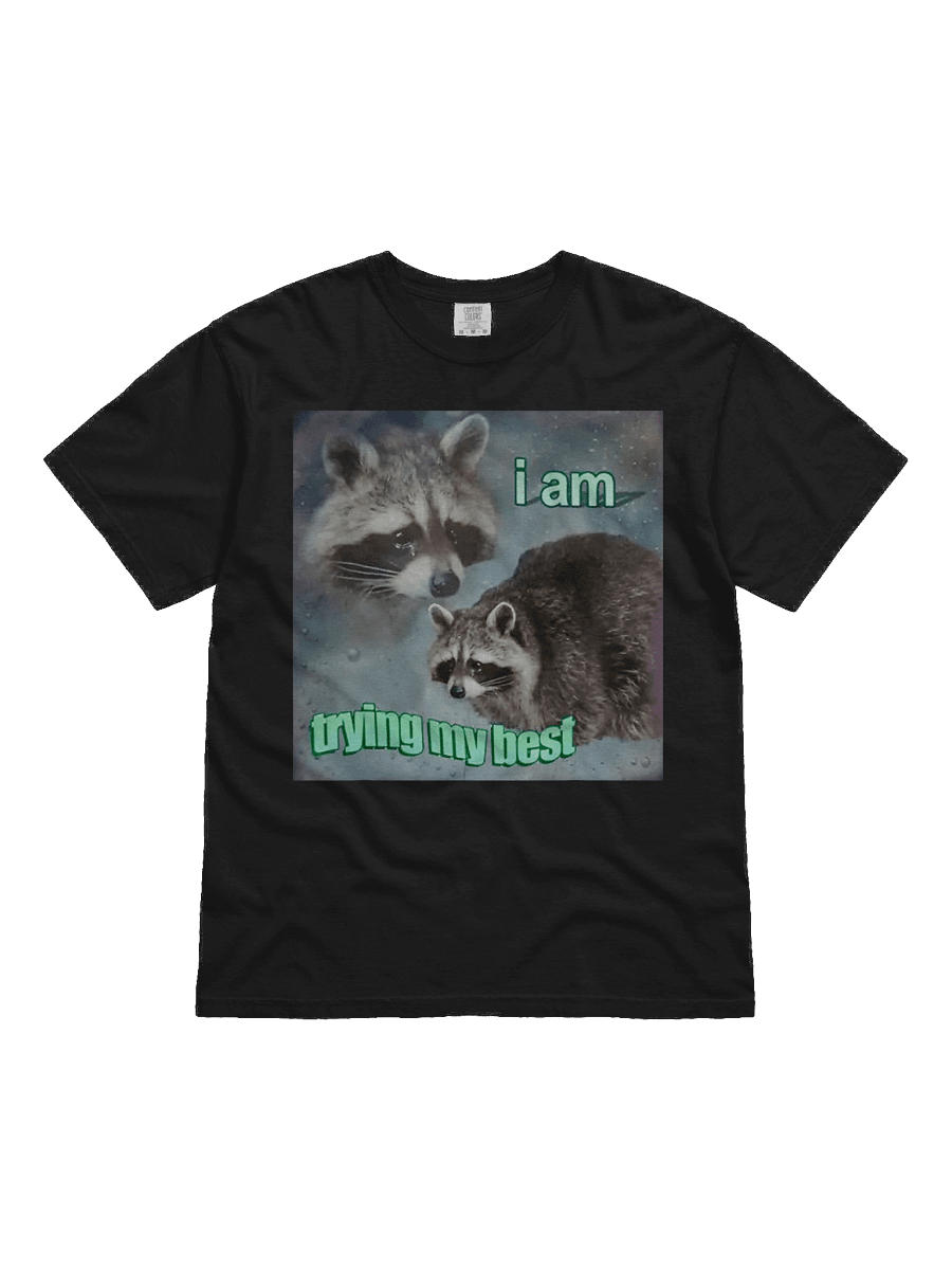 I Am Trying My Best Shirt product image (2)