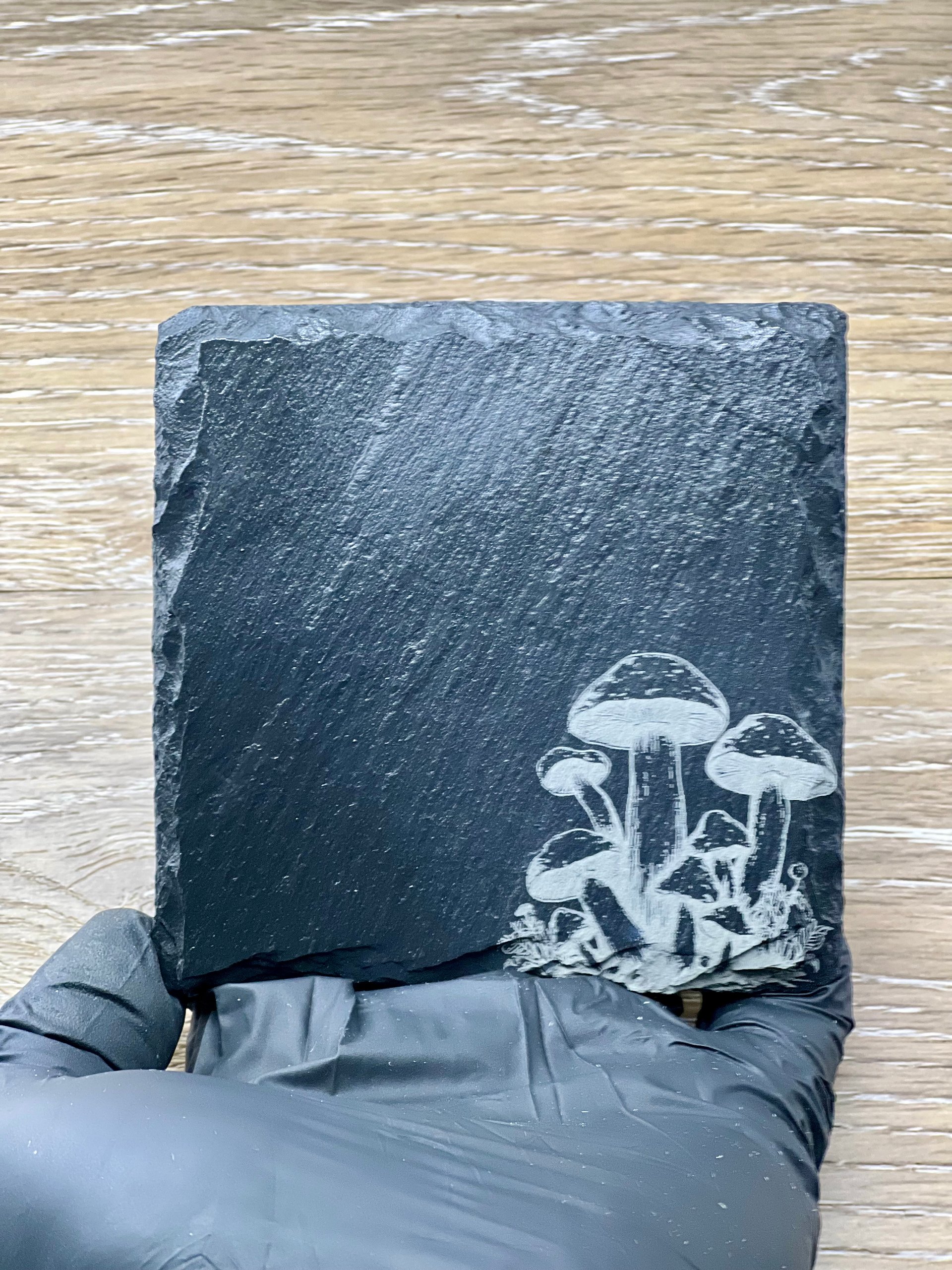 Mushroom Medley product image (4)