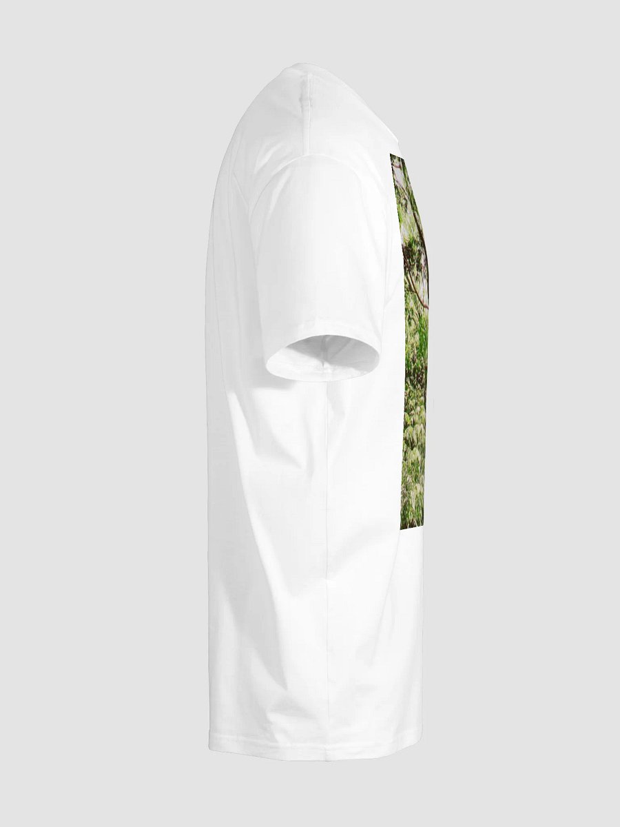 EARTH TONE DIVINE MUSIC TEE product image (9)