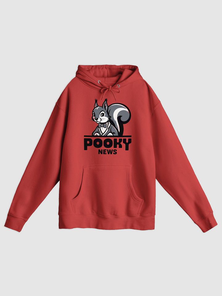 Premium, super soft Hoodie, Pooky news, grey pooky at desk/words product image (1)