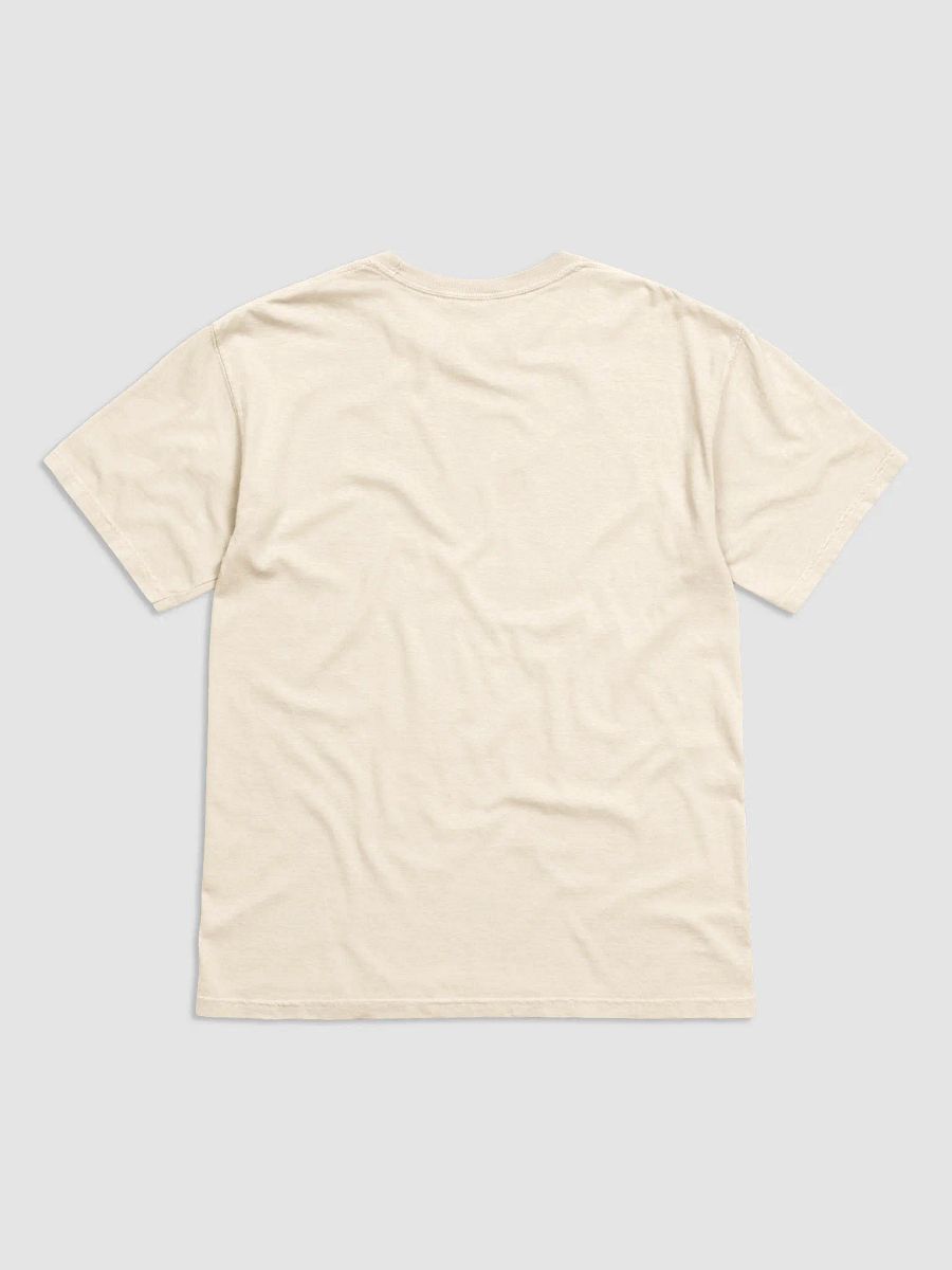 Destin Favorites T-Shirt product image (3)