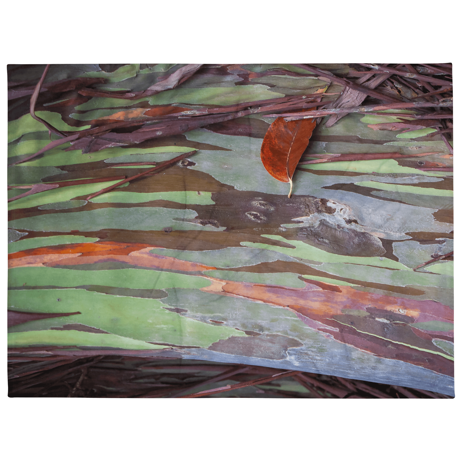 Painted Tree Printed Throw Blanket product image (1)