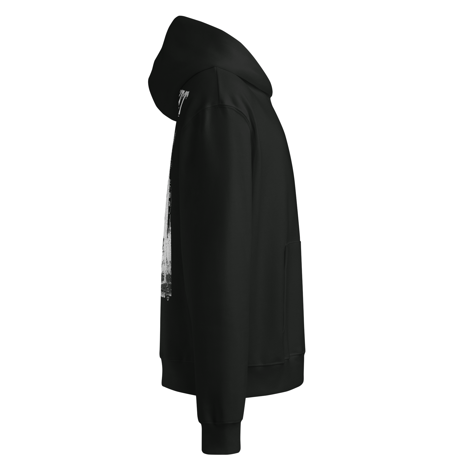 Cactus Hoodie product image (6)