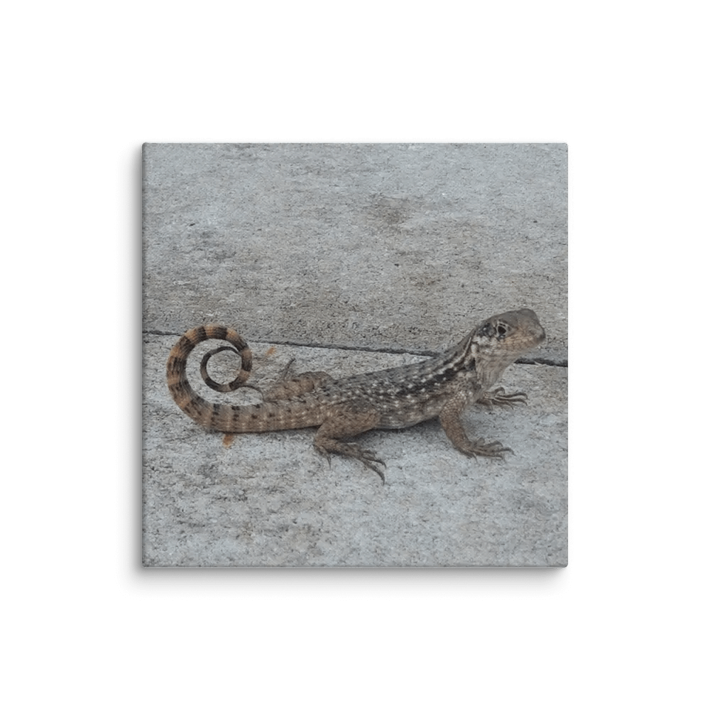 Patterned Lizard Canvas product image (1)
