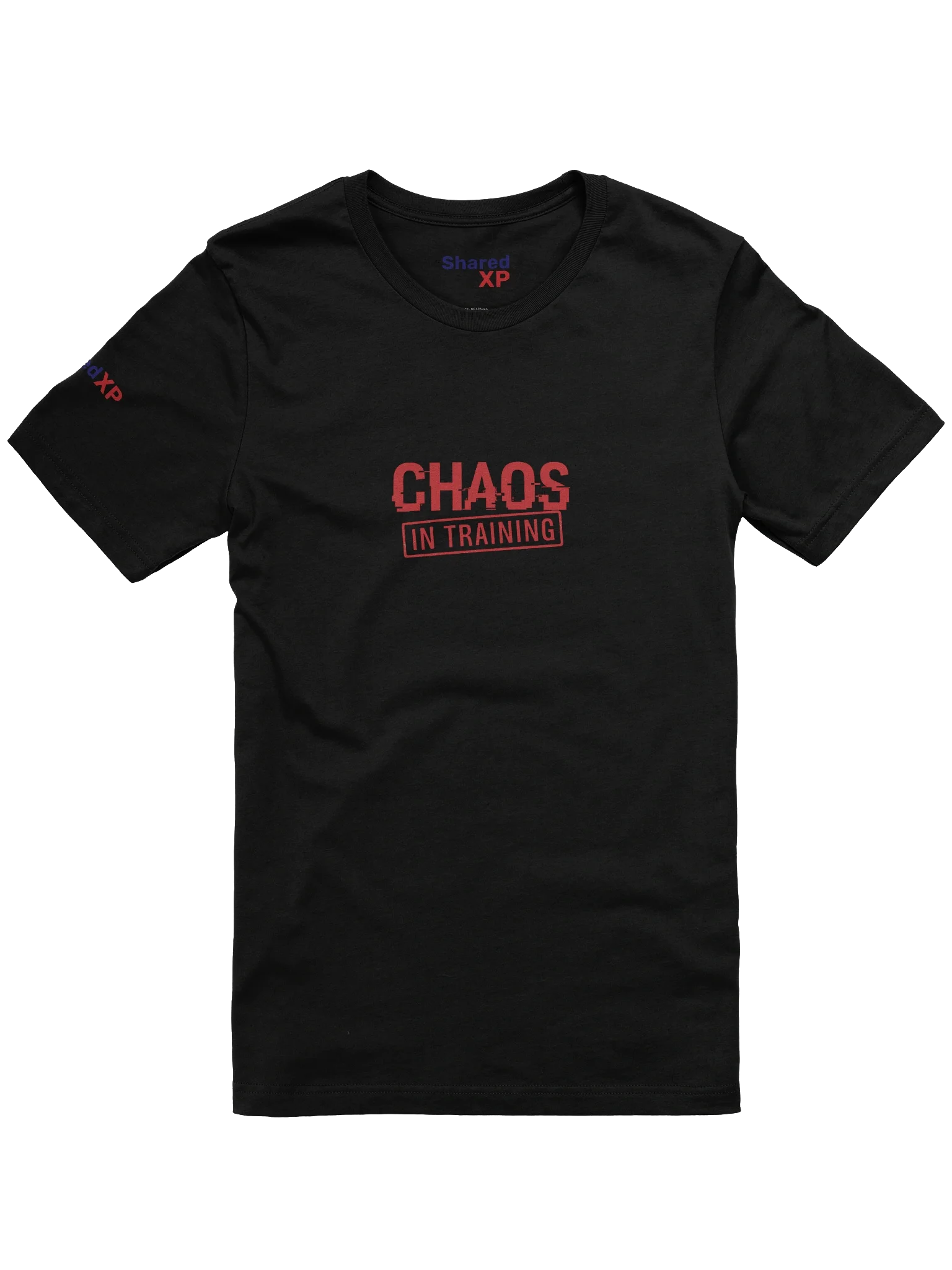 Chaos in Training T-Shirt product image (2)