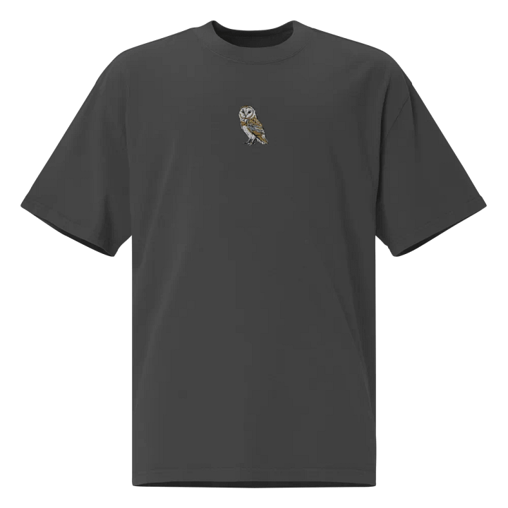 Barn Owl Dreams Embroidered Faded T-Shirt product image (1)