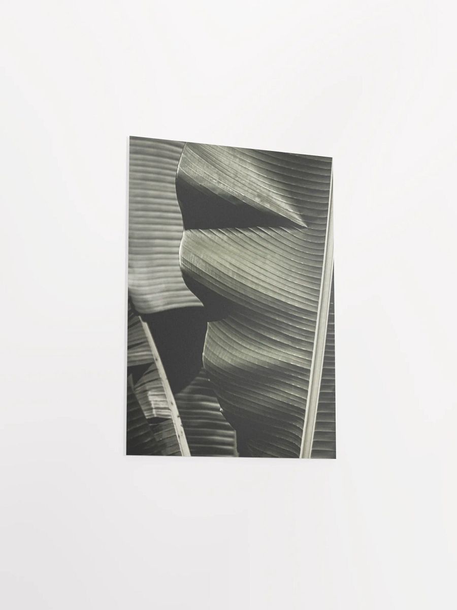 Banana Leaves Enhanced Matte Poster product image (36)