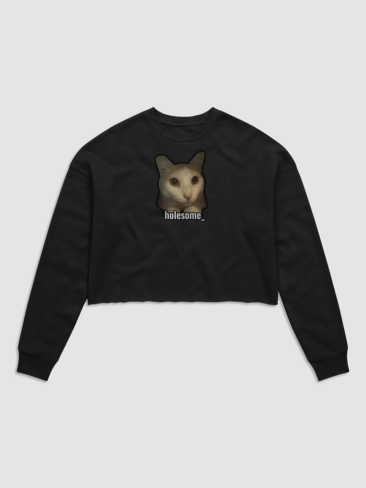 holesome Nico cropped sweatshirt product image (5)