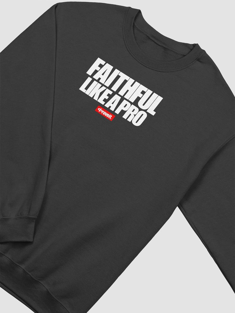 FAITHFUL LIKE A PRO Sweatshirt product image (3)