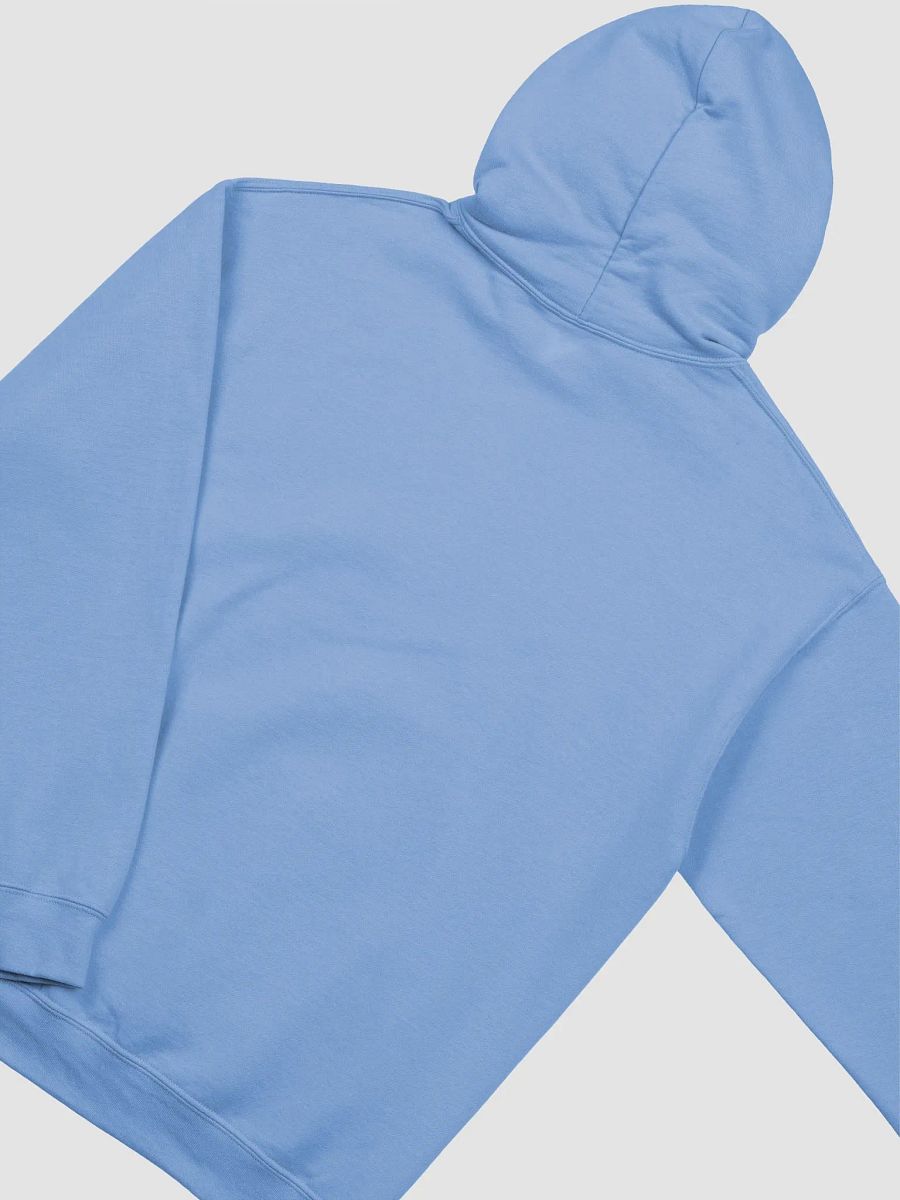FulishFuji logo hoodie product image (4)