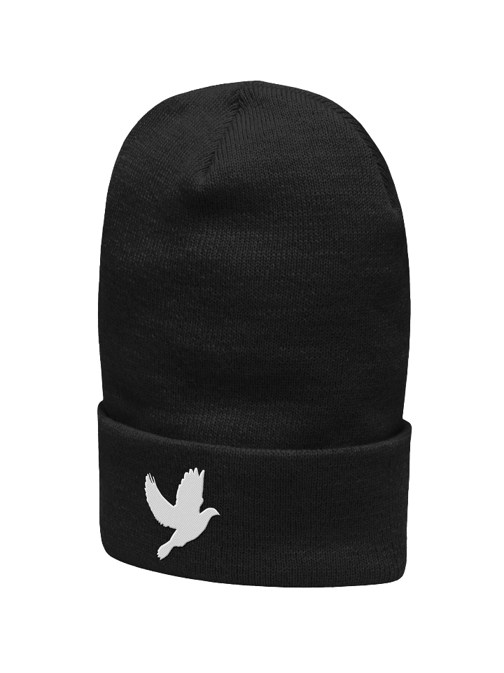 THE BIG BEANIE product image (2)
