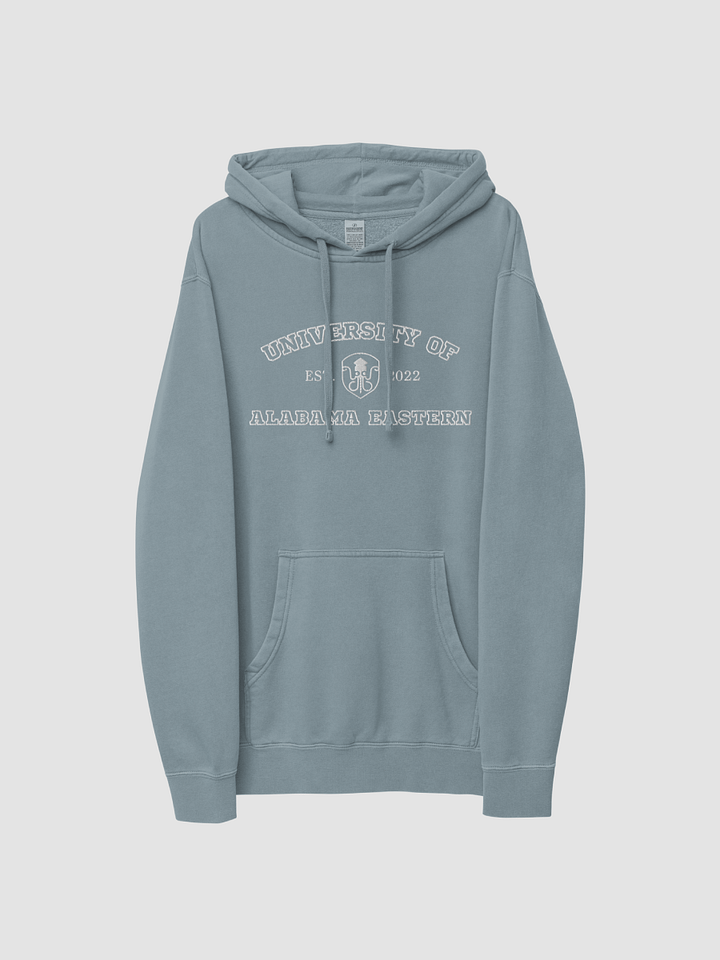 University Hoodie product image (1)