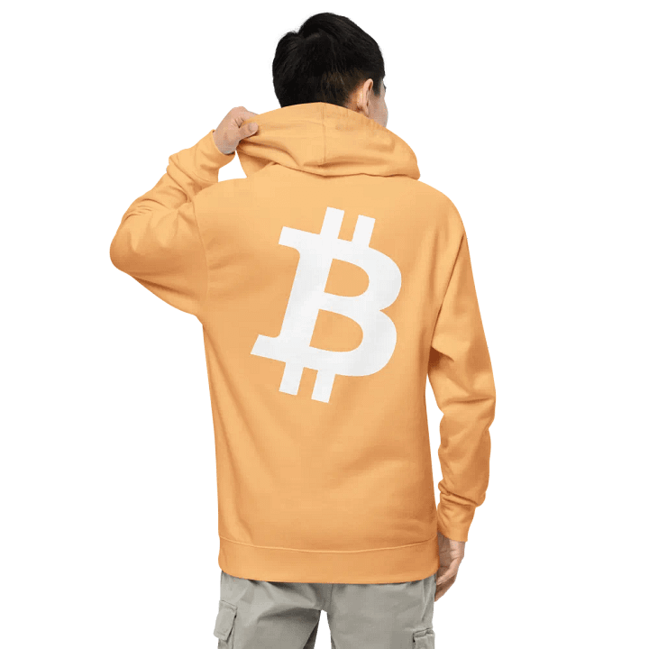 Embroidered ₿itcoin Orange-Peach Hoody product image (2)