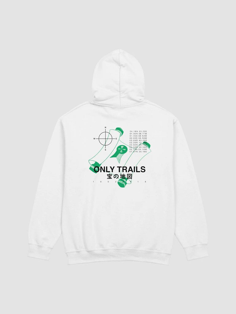 Backprint Coördinates - Hoodie (Green Clue) product image (1)