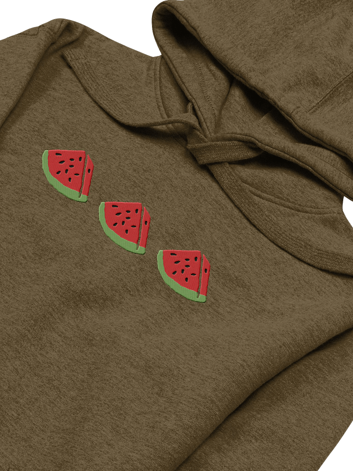 Sandia Embroidered Hoodie (green) product image (2)