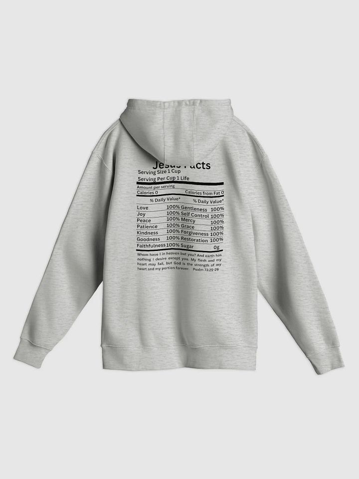 Jesus facts Unisex hoodie product image (2)