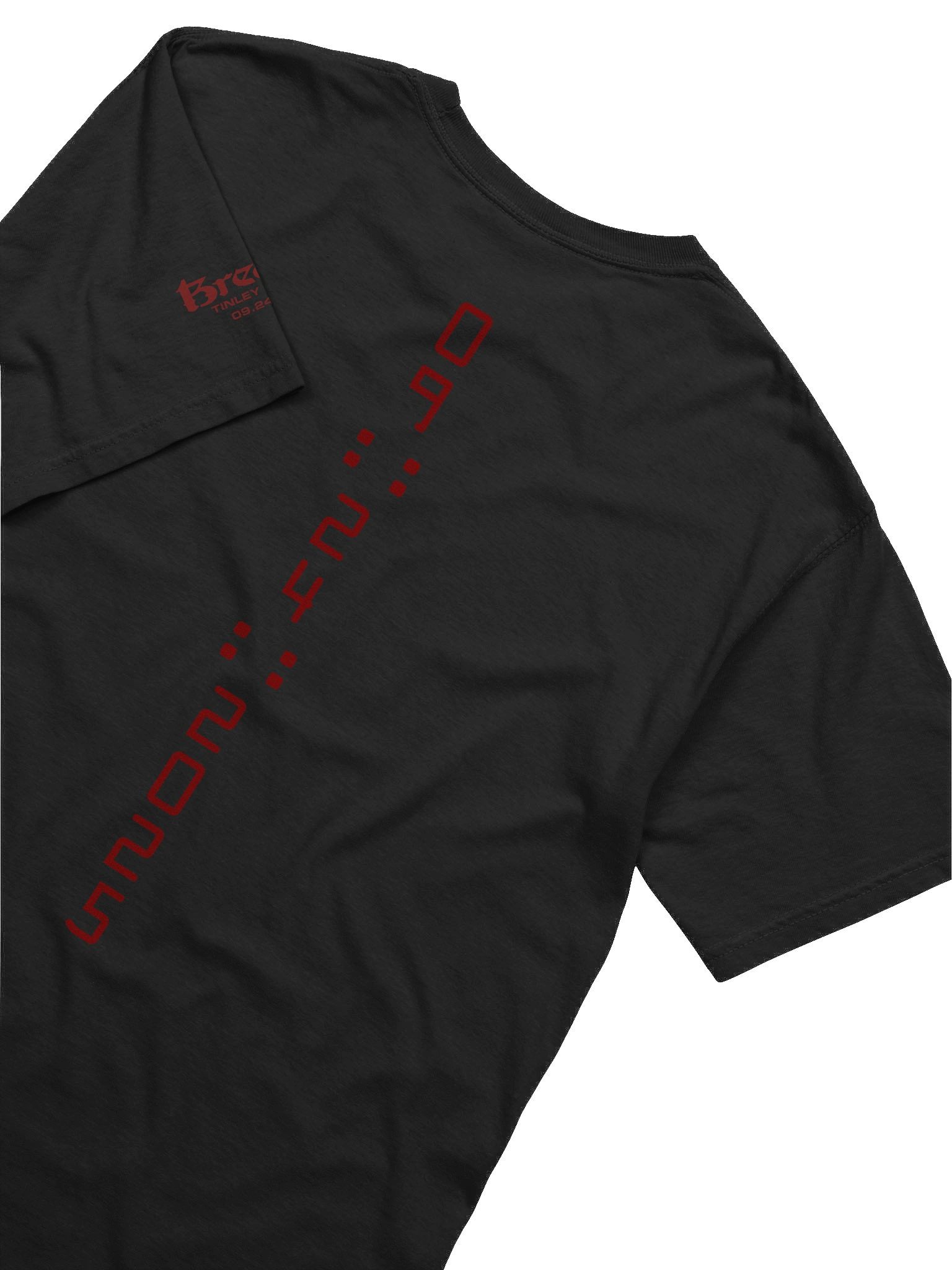 Tinley Park 2025 T-Shirt (Dark) product image (6)