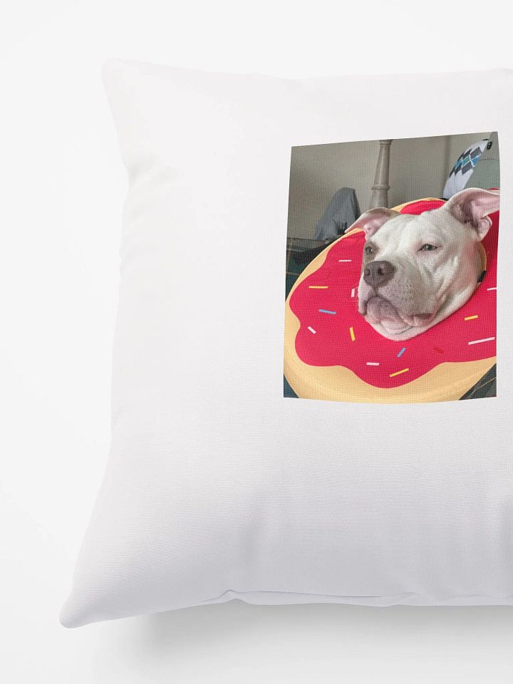 Haz Pillow product image (3)