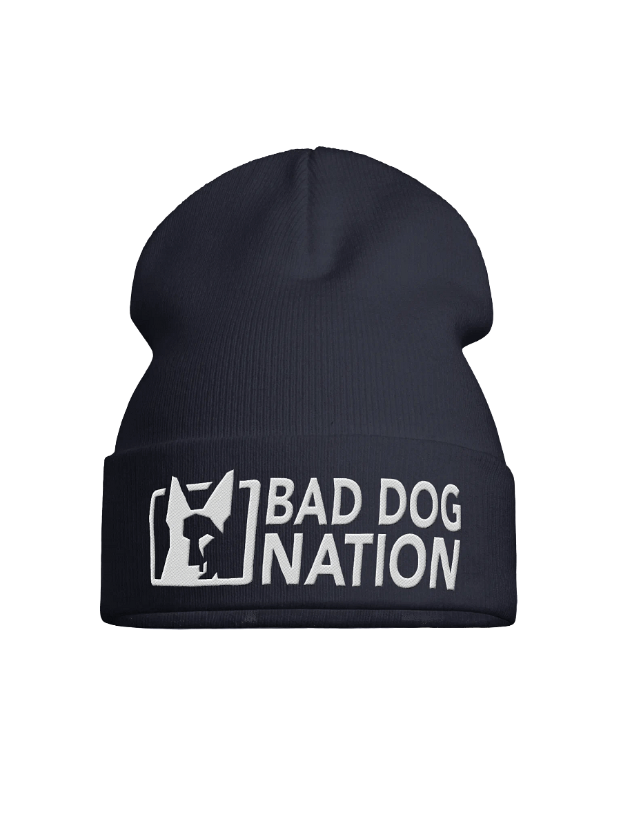 Bad Dog Nation Logo Knit Beanie product image (17)