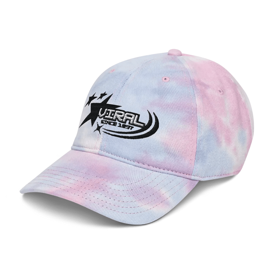Viral Since Embroidered Hat product image (43)