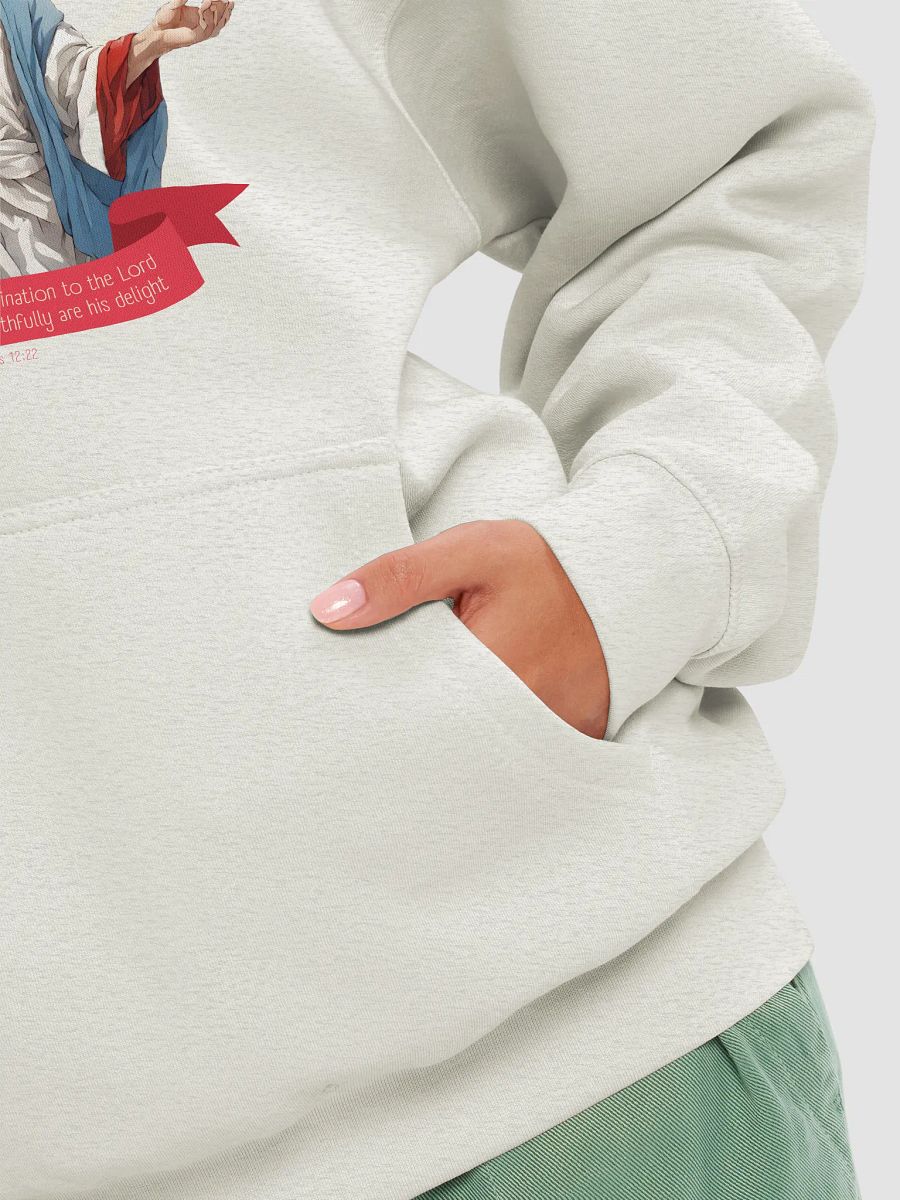 Truth is his delight Hoodie - Oatmeal Heather color product image (8)