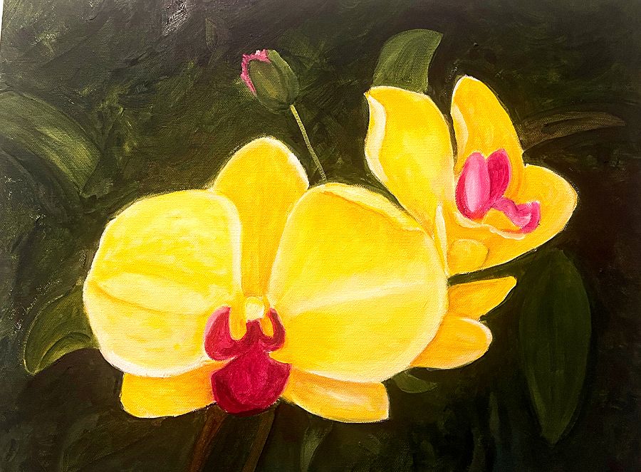 Orquídea Amarilla product image (1)