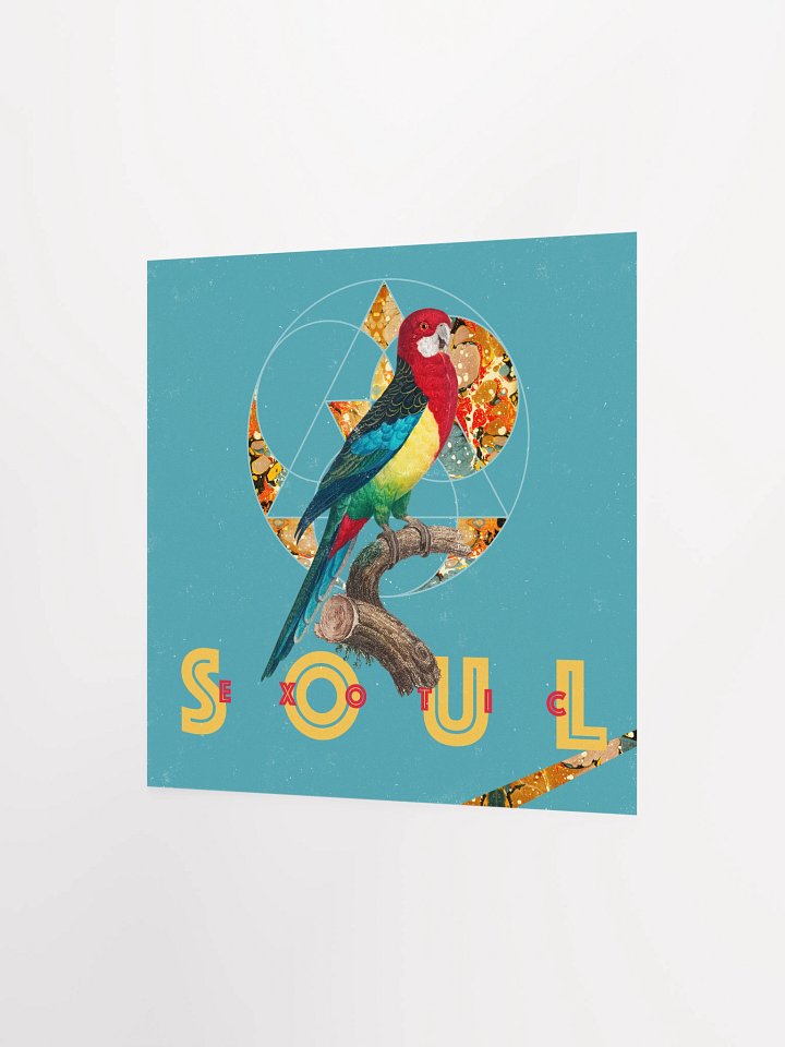 Vibrant Parrot Perch Poster product image (9)