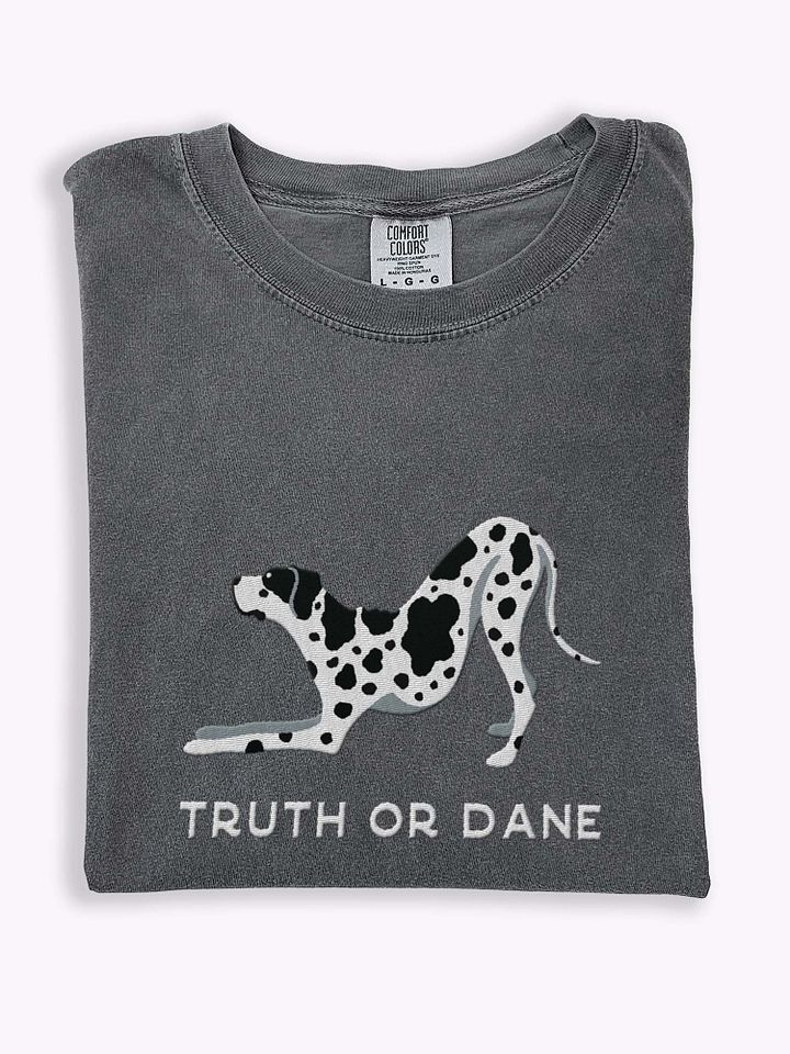 Truth or Dane T-Shirt(Embroidered) of a Great Dane(Harlequin) product image (1)