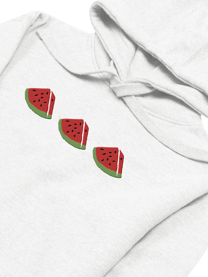 Sandia Embroidered Hoodie (white) product image (2)