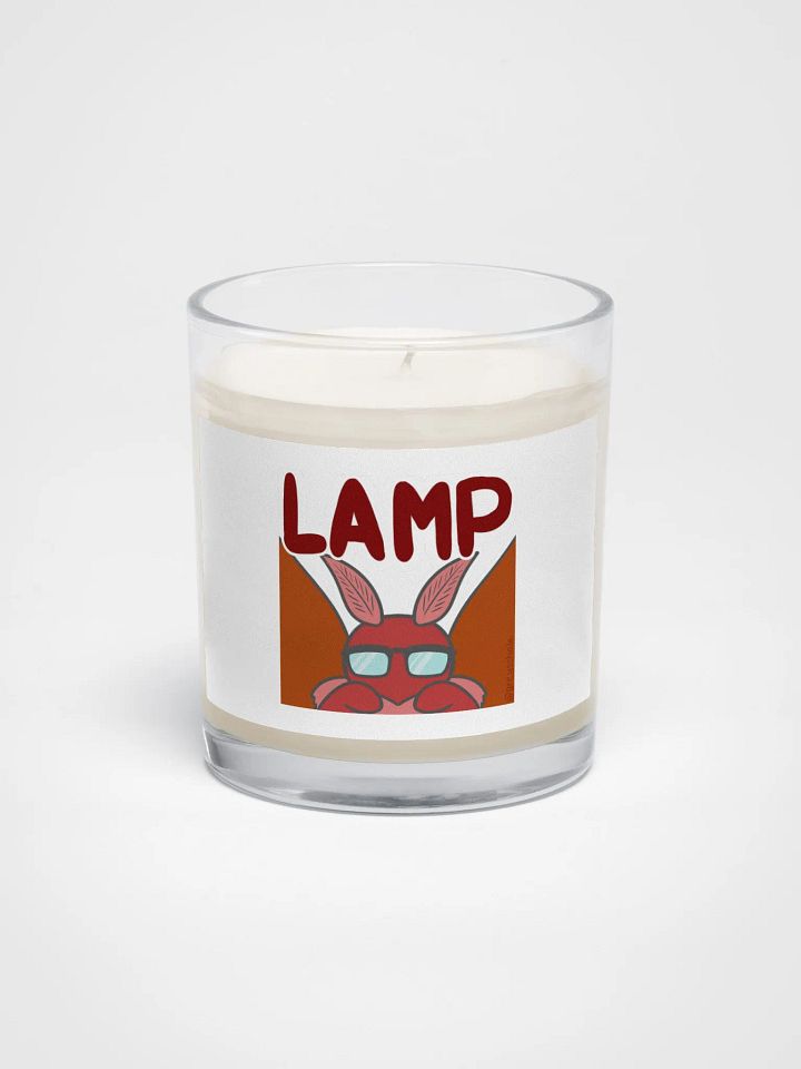 The original LAMP product image (1)