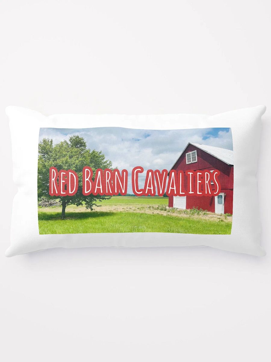 RBC Throw Pillow featuring Rio and Vienna product image (5)