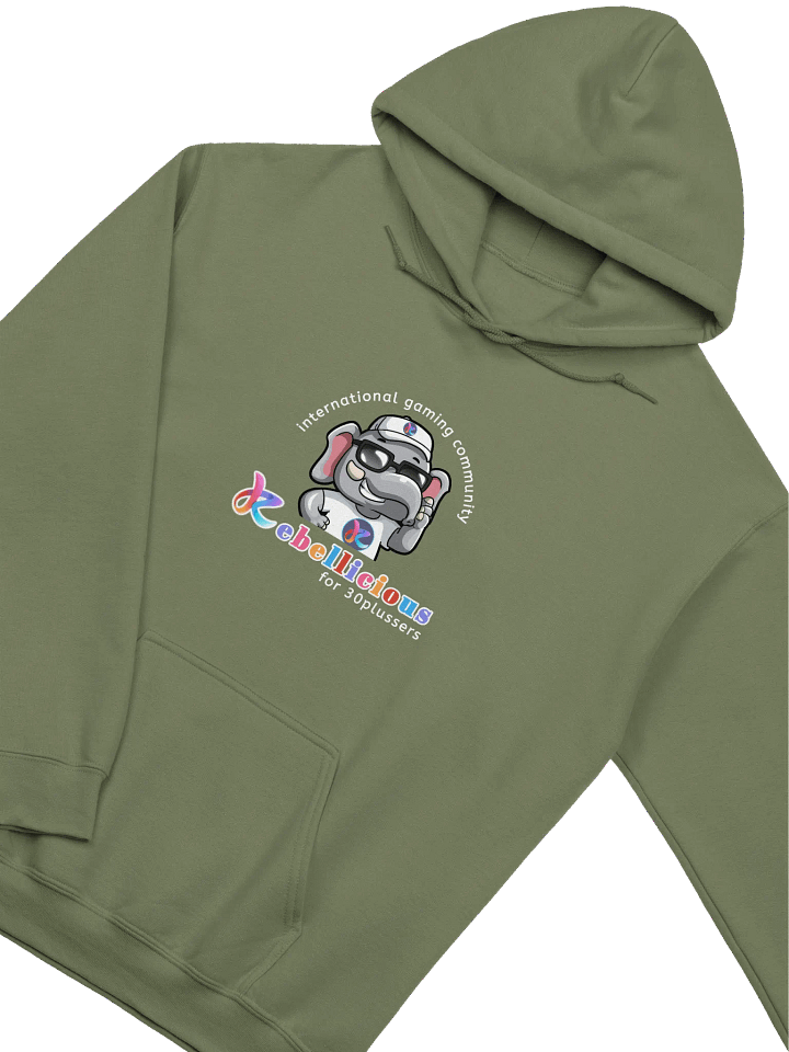 Gildan Classic Hoodie product image (2)