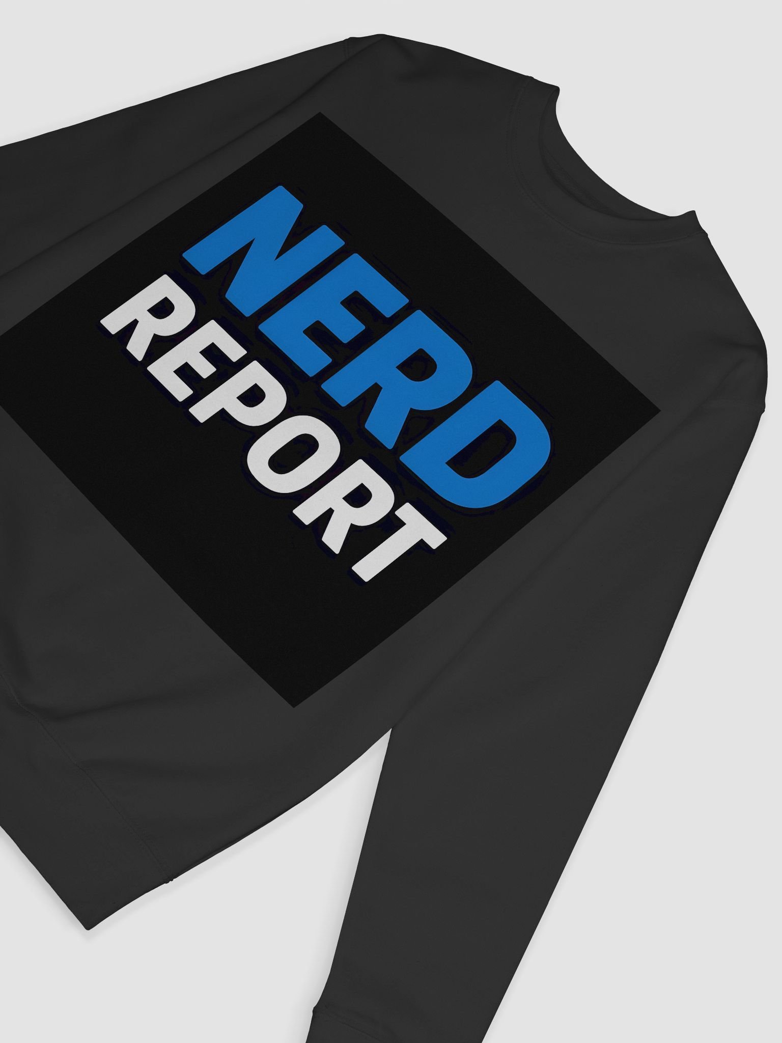 NERD REPORT Bold Block Sweatshirt product image (42)