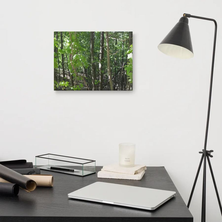 Empire Bluff Forest Canvas product image (11)