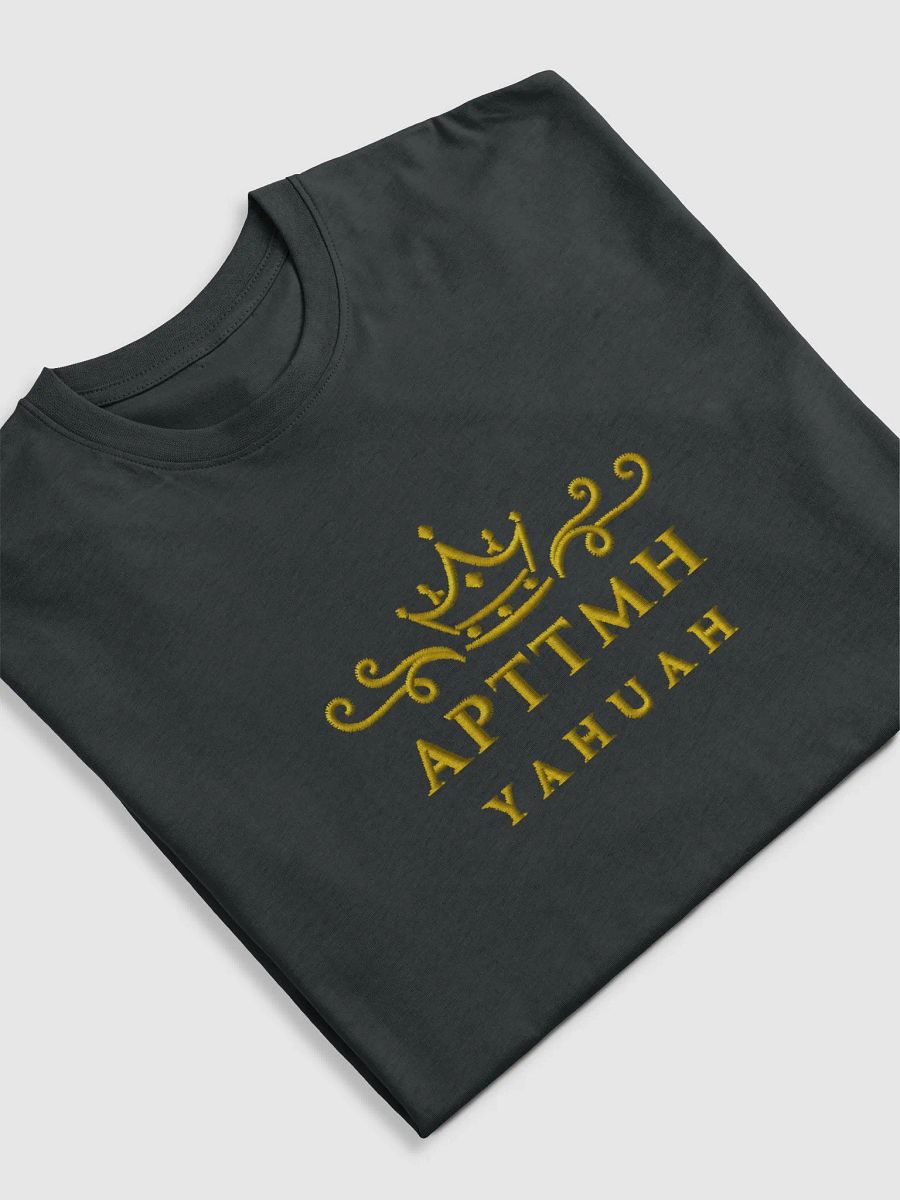 APTTMH Ornate Tee product image (4)