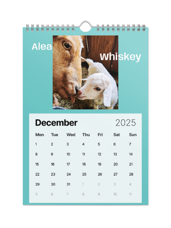 BrowncoatGoat Barn's Goats of 2025 product image (5)