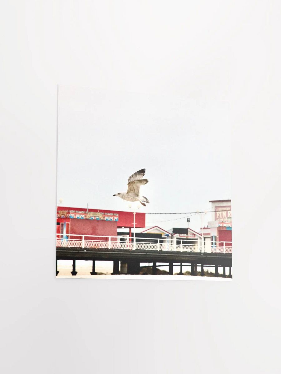 Young Gull Flying over a Fun Fair Poster product image (14)