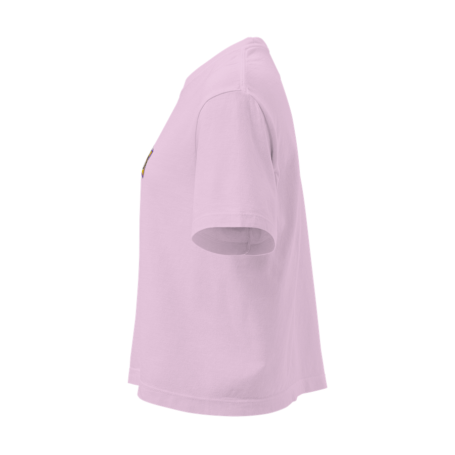 el☆ embroidered boxy tee product image (11)