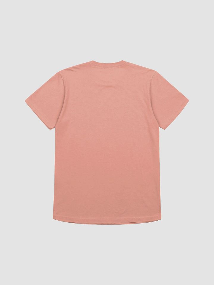 create style and shoot tshirt product image (7)