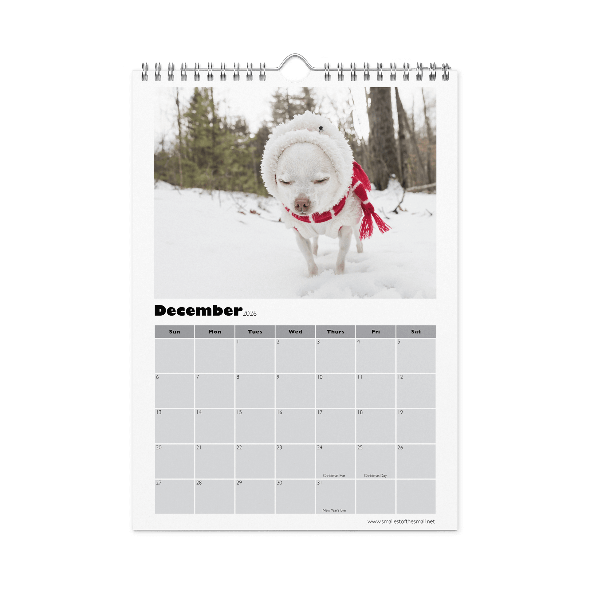 Smallest of the Small 2026 Calendar product image (4)