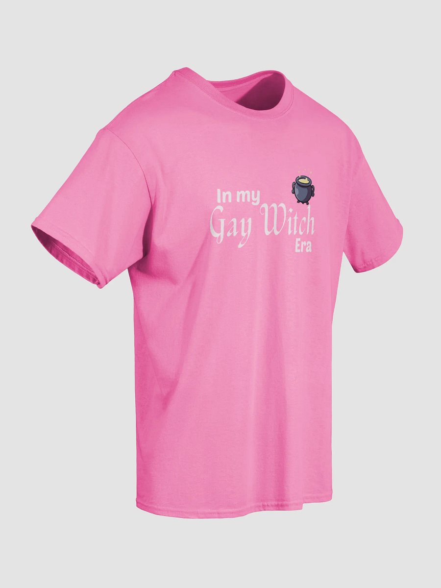 Gay Witch Era product image (5)