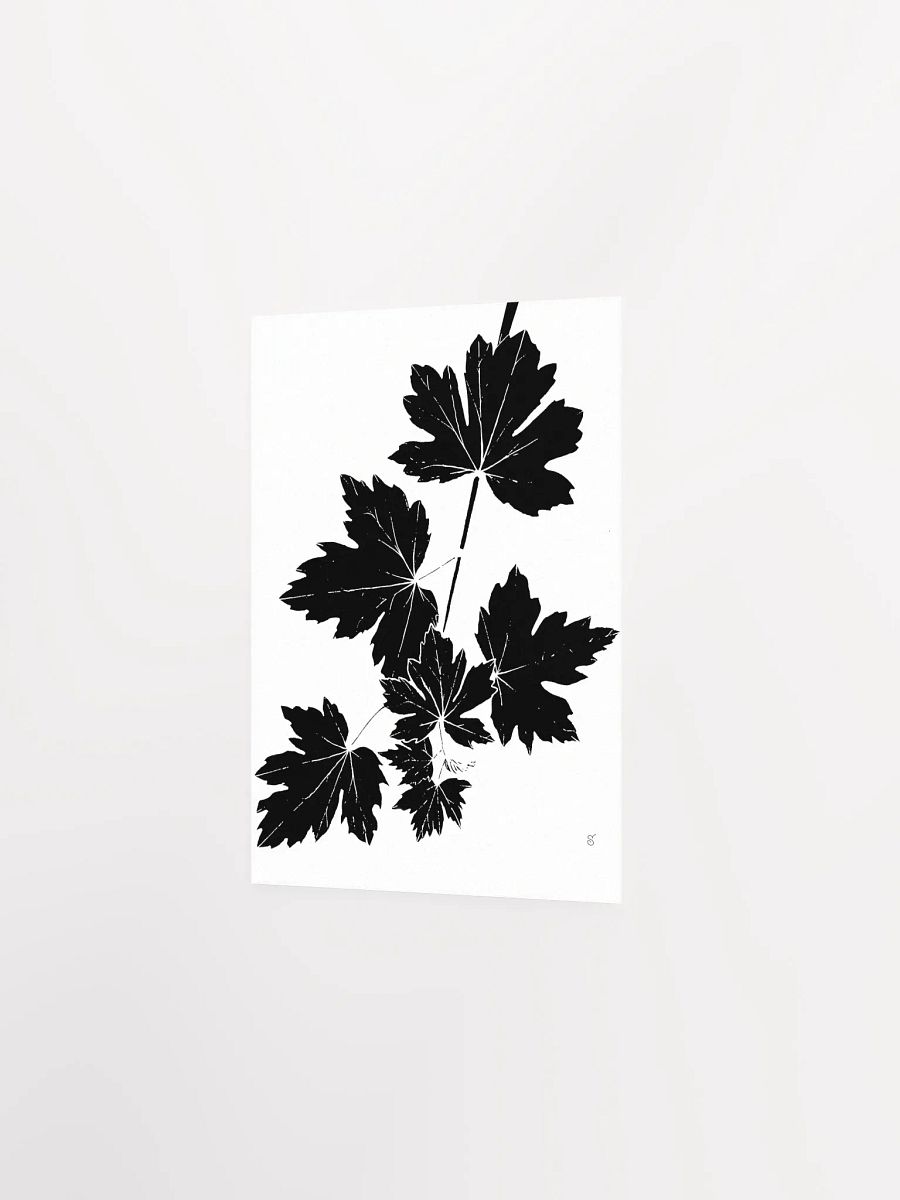 Luminous Leaf Cluster Matte Poster - Grape Leaves Light product image (2)