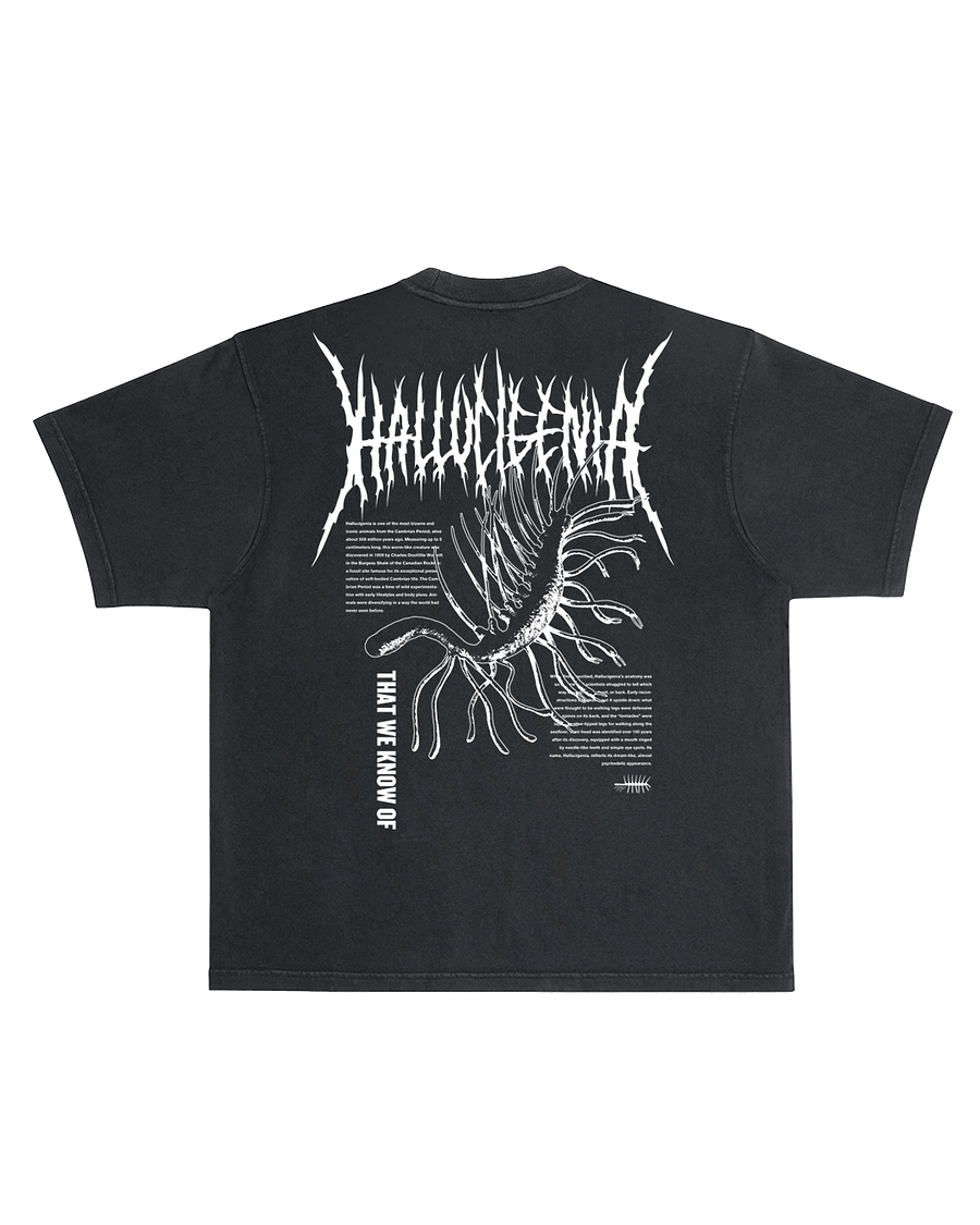 Hallucigenia Tee- Black product image (2)